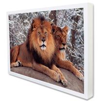 Quadro Decorativo Leão e Leoa em Moldura Caixa Quadro Decorativo Leão e Leoa em Moldura Caixa