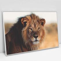 Quadro Decorativo Leão e Seus Olhos Vibrantes em tela Canvas