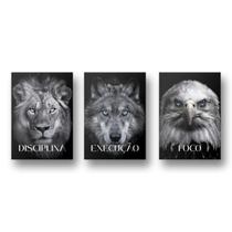 Quadro Decorativo Leão Lobo Aguia Disciplina Execução Foco