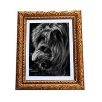 Quadro Decorativo Leão Mostrando Dentes A4 - FR037 Luxo Prem