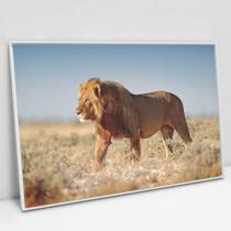 Quadro Decorativo Leão Selvagem em tela Canvas