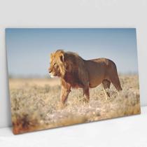 Quadro Decorativo Leão Selvagem em tela Canvas
