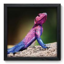 Quadro Decorativo - Lizard - 33cm x 33cm - 118qdsp