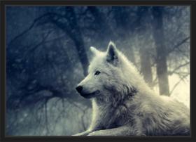 Quadro Decorativo Lobo Branco Animais Decoração Com Moldura Quadro Decorativo Lobo Branco Animais Decoração Com Moldura