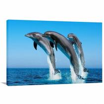 Quadro decorativo Lobos - Animais - Natureza - Tela em Tecido