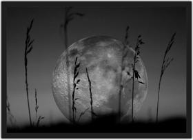 Quadro Decorativo Lua Universo Salas Quartos Decorações Com Moldura