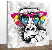 Quadro Decorativo Macaco Óculos Colorido Midiapoparte 60X60