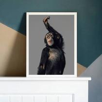 Quadro Decorativo Macaco Performance 45x34cm