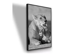 Quadro Decorativo Mae Leoa Com Filhote 90x60