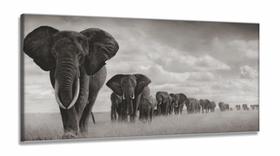 Quadro Decorativo Manada Elefante em Tecido Canvas 130x60