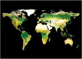 Quadro Decorativo Mapa-Múndi Físico Continentes Geografia Salas Escritórios Com Moldura RC075 Quadro Decorativo Mapa-Múndi Físico Continentes Geografia Salas Escritórios Com Moldura RC075