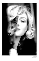 Quadro Decorativo Marilyn Monroe Gato Vintage Retro Cult Tecido Canvas