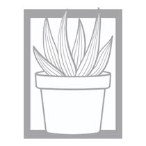 Quadro Decorativo Mdf Cinza Vaso De Suculenta 40X20Cm