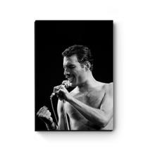 Quadro decorativo MDF Freddie Mercury - Artgeek