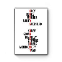 Quadro decorativo MDF Greys Anatomy Nomes Quadro decorativo MDF Greys Anatomy Nomes