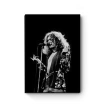 Quadro decorativo MDF Robert Plant