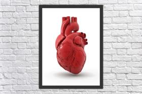 Quadro Decorativo Medicina Coração Salas Decorações Com Moldura Quadro Decorativo Medicina Coração Salas Decorações Com Moldura