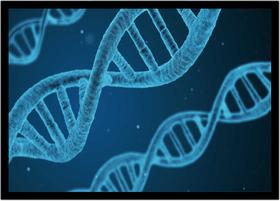 Quadro Decorativo Medicina DNA Biologia Corpo Humano Com Moldura RC016