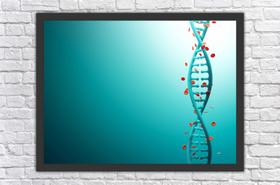 Quadro Decorativo Medicina Dna Biologia Salas Decorações Com Moldura Quadro Decorativo Medicina Dna Biologia Salas Decorações Com Moldura