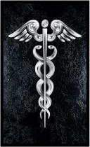 Quadro Decorativo Medicina Médicos Bastão de Esculápio Asclépio Consultórios Com Moldura RC007 Quadro Decorativo Medicina Médicos Bastão de Esculápio Asclépio Consultórios Com Moldura RC007