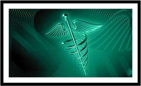 Quadro Decorativo Medicina Médicos Bastão de Esculápio Asclépio Consultórios Com Moldura RC024 Quadro Decorativo Medicina Médicos Bastão de Esculápio Asclépio Consultórios Com Moldura RC024