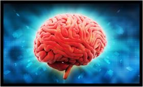 Quadro Decorativo Medicina Médicos Cérebro Neurologia Psiquiatria Consultórios Com Moldura RC017 Quadro Decorativo Medicina Médicos Cérebro Neurologia Psiquiatria Consultórios Com Moldura RC017
