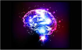 Quadro Decorativo Medicina Médicos Cérebro Neurologia Psiquiatria Consultórios Com Moldura RC023 Quadro Decorativo Medicina Médicos Cérebro Neurologia Psiquiatria Consultórios Com Moldura RC023