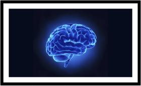 Quadro Decorativo Medicina Médicos Cérebro Neurologia Psiquiatria Consultórios Com Moldura RC030 Quadro Decorativo Medicina Médicos Cérebro Neurologia Psiquiatria Consultórios Com Moldura RC030