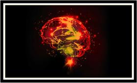 Quadro Decorativo Medicina Médicos Cérebro Neurologia Psiquiatria Consultórios Com Moldura RC034 Quadro Decorativo Medicina Médicos Cérebro Neurologia Psiquiatria Consultórios Com Moldura RC034