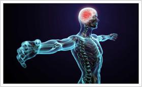 Quadro Decorativo Medicina Médicos Consultórios Salas Moldura Branca Q06