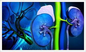 Quadro Decorativo Medicina Médicos Consultórios Salas Moldura Branca Q07