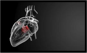 Quadro Decorativo Medicina Médicos Coração Cardiologia Saúde Consultórios Com Moldura RC015