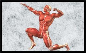 Quadro Decorativo Medicina Médicos Corpo Humano Músculos Consultórios Com Moldura RC001 Quadro Decorativo Medicina Médicos Corpo Humano Músculos Consultórios Com Moldura RC001