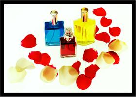 Quadro Decorativo Medicina Perfume Rosas Cosméticos Lojas Com Moldura RC089 Quadro Decorativo Medicina Perfume Rosas Cosméticos Lojas Com Moldura RC089