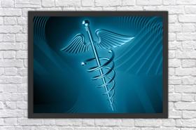 Quadro Decorativo Medicina Salas Decorações Com Moldura