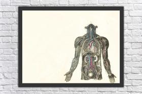 Quadro Decorativo Medicina Salas Decorações Com Moldura Quadro Decorativo Medicina Salas Decorações Com Moldura