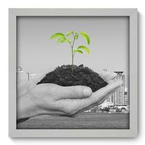 Quadro Decorativo - Meio Ambiente - 33cm x 33cm - 067qndbb Quadro Decorativo - Meio Ambiente - 33cm x 33cm - 067qndbb