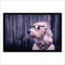 Quadro Decorativo Moldura de Madeira 60x40 Cachorro Óculos