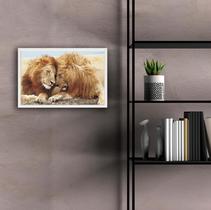 Quadro Decorativo Moldura de Madeira 60x40 Casal Leões Amor Quadro Decorativo Moldura de Madeira 60x40 Casal Leões Amor