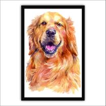 Quadro Decorativo Moldura de Madeira 60x40 Golden Retriever Quadro Decorativo Moldura de Madeira 60x40 Golden Retriever