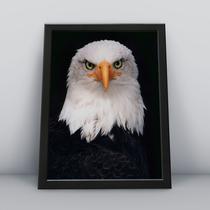 Quadro Decorativo Moldura Preta 30x40cm Águia Modelo 1 Quadro Decorativo Moldura Preta 30x40cm Águia Modelo 1