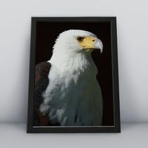 Quadro Decorativo Moldura Preta 30x40cm Águia Modelo 2 Quadro Decorativo Moldura Preta 30x40cm Águia Modelo 2
