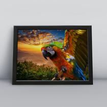 Quadro Decorativo Moldura Preta 30x40cm Araras Paisagem Quadro Decorativo Moldura Preta 30x40cm Araras Paisagem