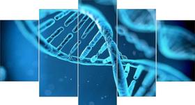 Quadro Decorativo Mosaico 5 Peças Dna Biologia Mdf Quadro Decorativo Mosaico 5 Peças Dna Biologia Mdf