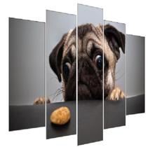 Quadro Decorativo Mosaico 5 Peças Mod1039 Cachorro Pug