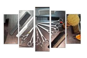 Quadro Decorativo Mosaico 5 Peças Mod826 Instrumentos Barber