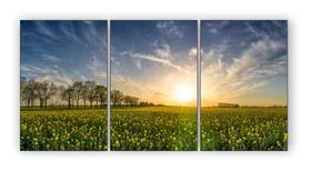 Quadro Decorativo Mosaico Paisagem Bosque Nascer Do Sol