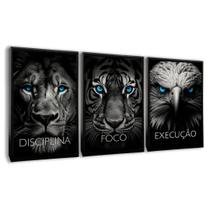 Quadro Decorativo Motivacional Animais 3 peças