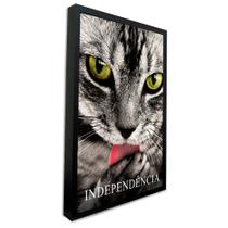 Quadro Decorativo Motivacional Gato com Independência em Moldura Caixa Quadro Decorativo Motivacional Gato com Independência em Moldura Caixa