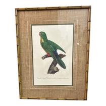 Quadro decorativo motivo passaro papagaio madeira e vidro Quadro decorativo motivo passaro papagaio madeira e vidro